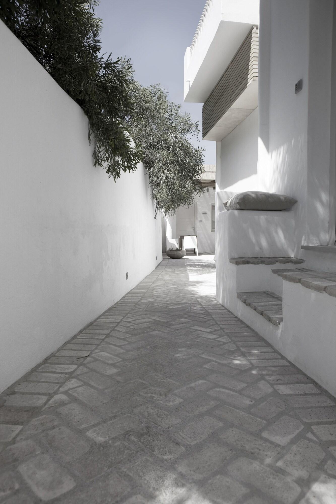 Terra Maria Hotel Mykonos Town Zewnętrze zdjęcie